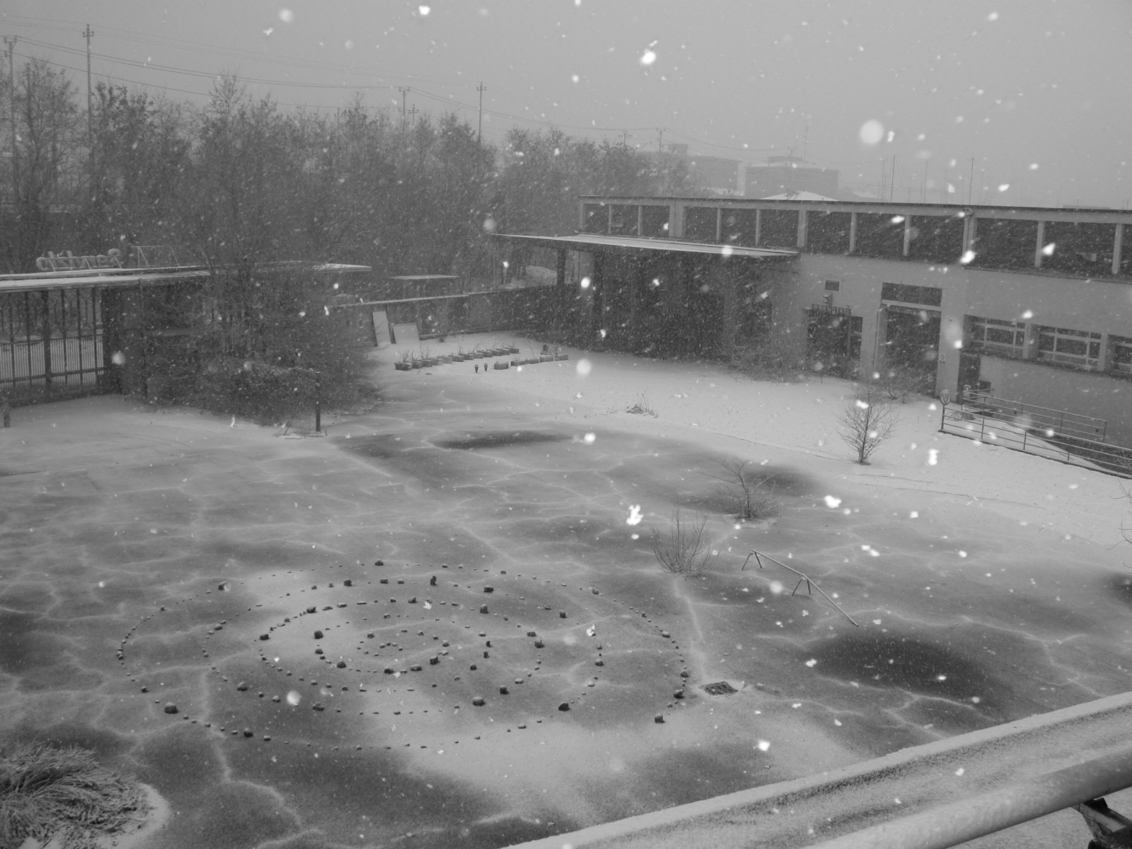 14 2005 neve febbraio fotofrafia