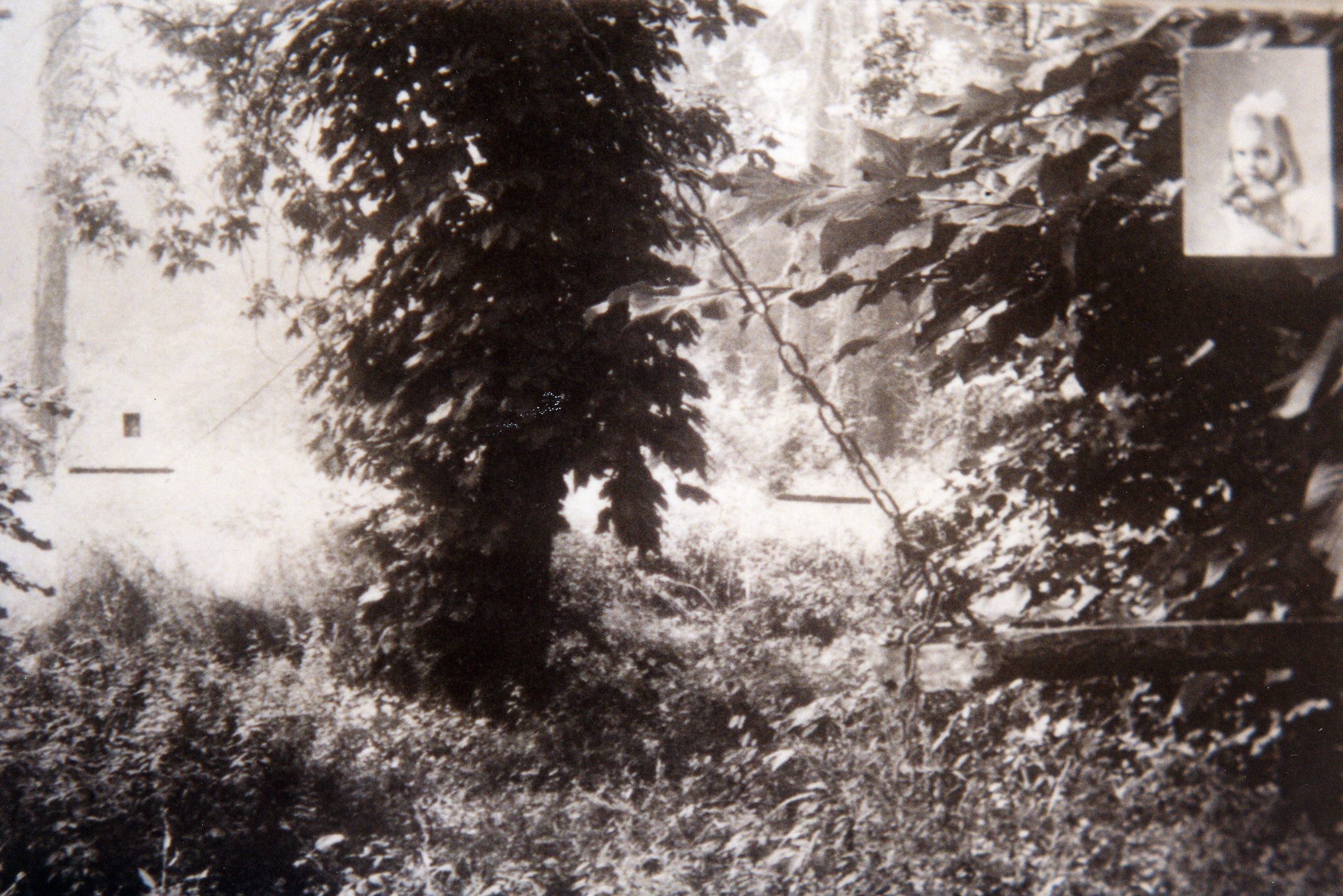 19 1987_altalene_bambine_installazione_per_la_mostra_traviata_s