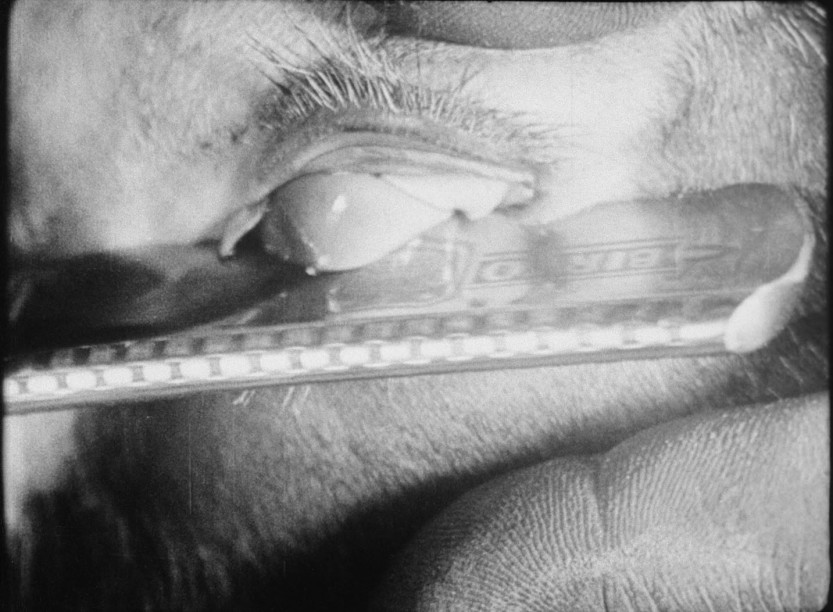 Bunuel, Un_Chien_Andalou, 1929