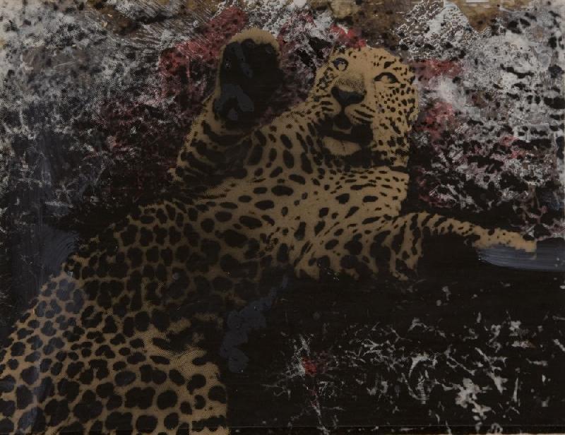 Pino Pascali Leopardo 1964