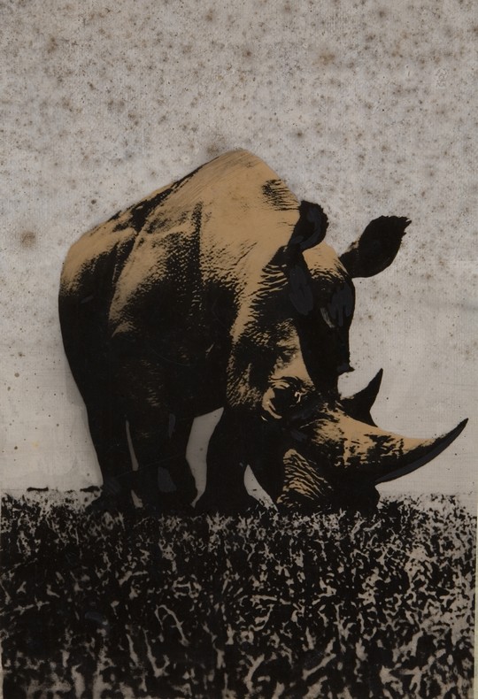 Pino-Pascali_Rinoceronte, 1964