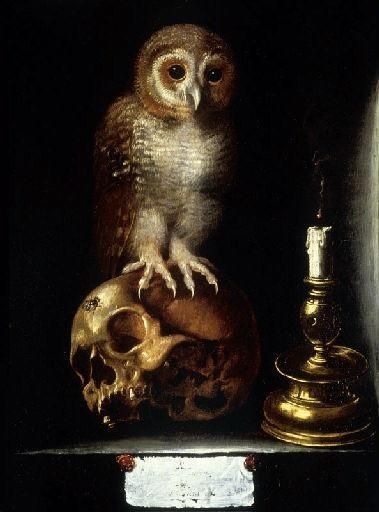 Vanitas with Owl, anonimo 17esimo secolo