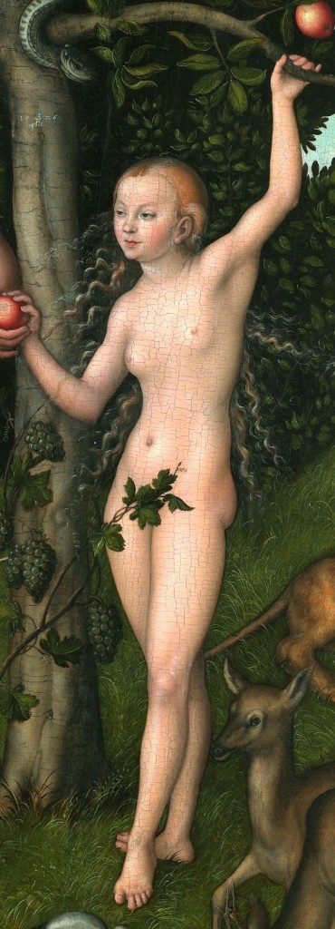 {{title|{{Adam and Eve}}}} 1526 {{Technique|oil|panel}} {{Size|cm|117|80}}