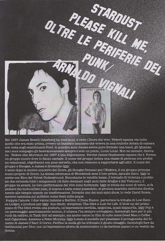 Fanzine Unknown Pleasures, Stardust, Please kill me, grafiche Francesca de Paolis