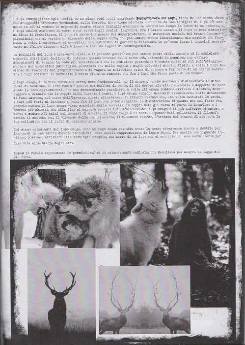 Fanzine Unknown Pleasures, numero 1, Lupus in Fabula, grafiche Valentina Mangieri, direz.art.LST,3