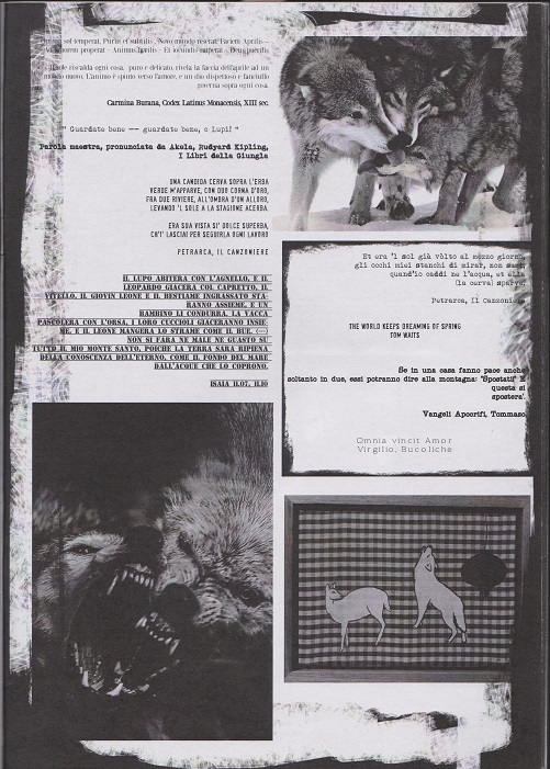 Fanzine Unknown Pleasures, numero 1, Lupus in Fabula, grafiche Valentina Mangieri, direz.art.LST.1