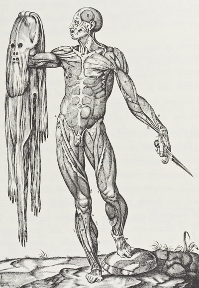 Juan de Valverde - La Anatomia del Cuerpo Humano (Muscle man holding his skin), 1586.