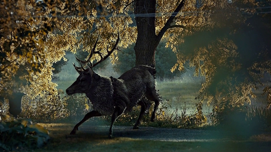 Hannibal, Bryan Fuller