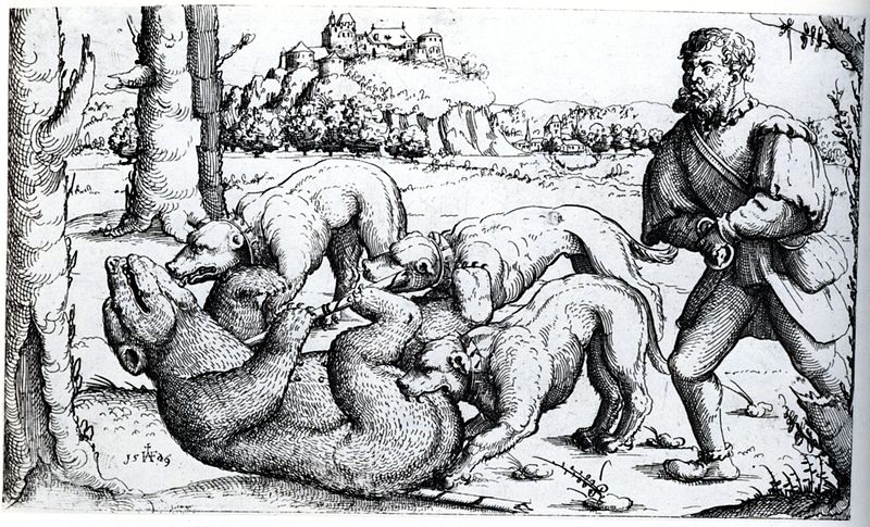 Augustin Hirschvogel, 1503-1553, Bear_Hunt