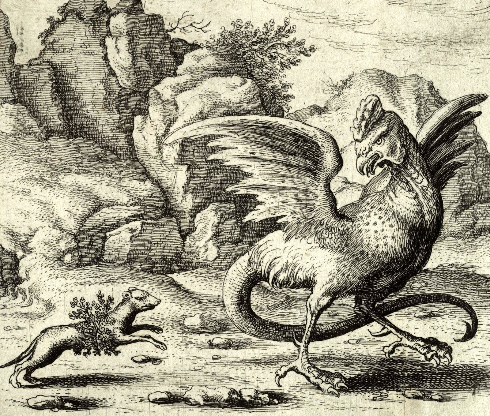 Engraving by Bohemian etcher Wenceslaus Hollar (1607-1677) depicting a cockatrice being attacked by a weasel wrapped in rue