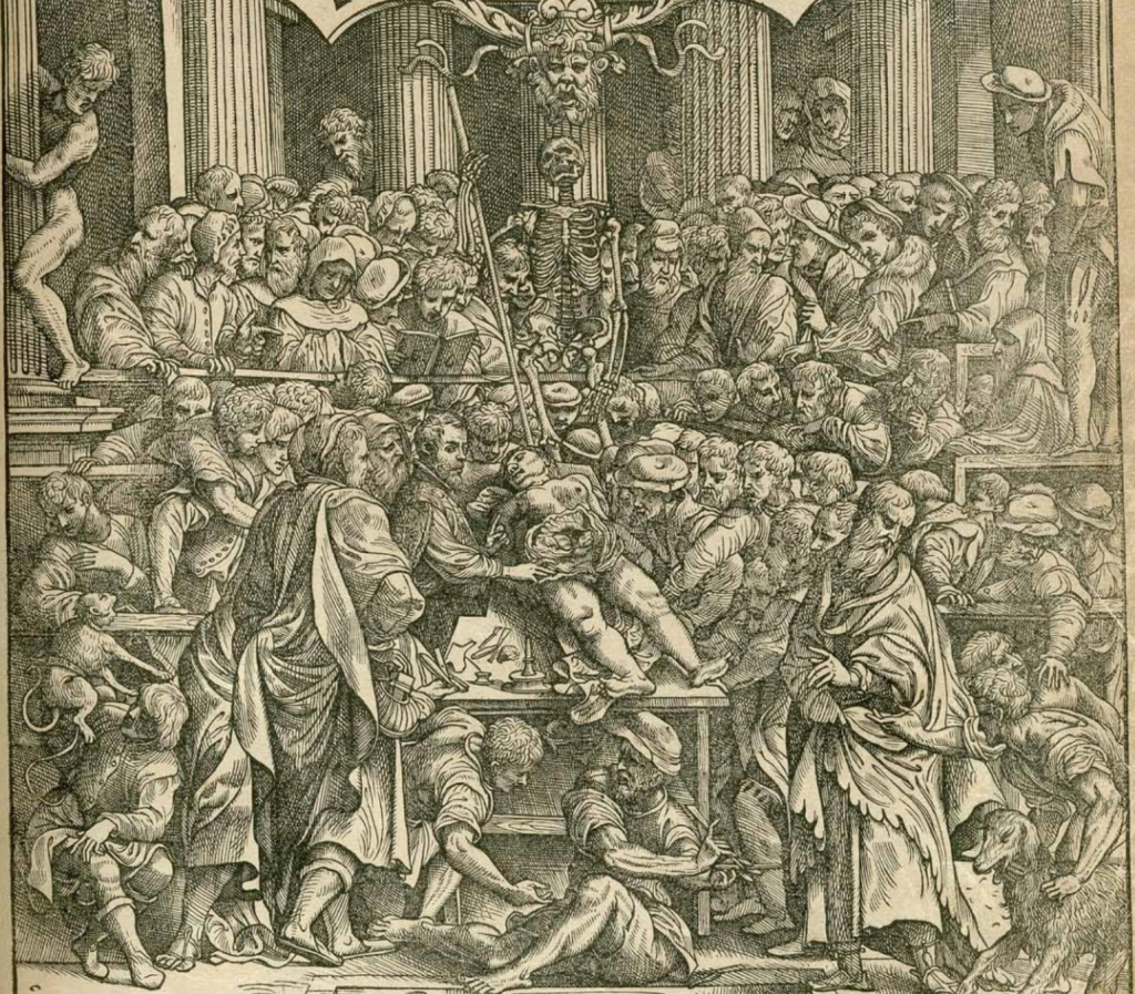 de humani corporis fabrica, vesalio, 1543