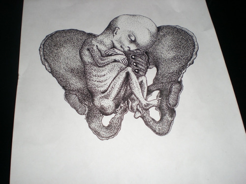 andrey svetov feto ed ossa