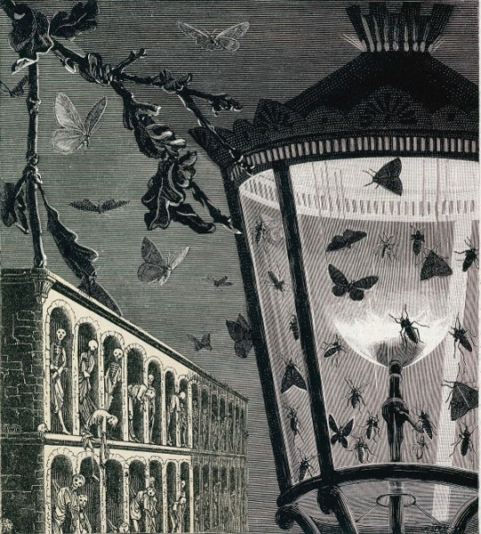 And the Moths Began to Sing by Max Ernst.