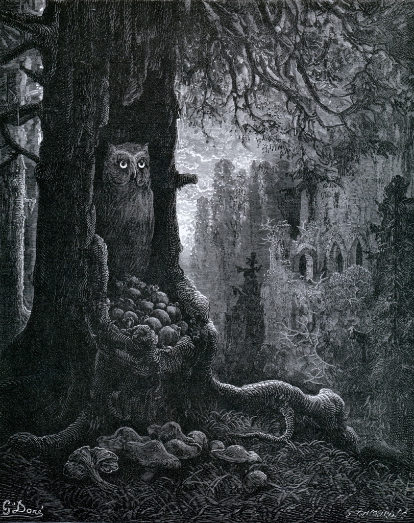 Gustave Doré Les Souris et le Chat-Huant