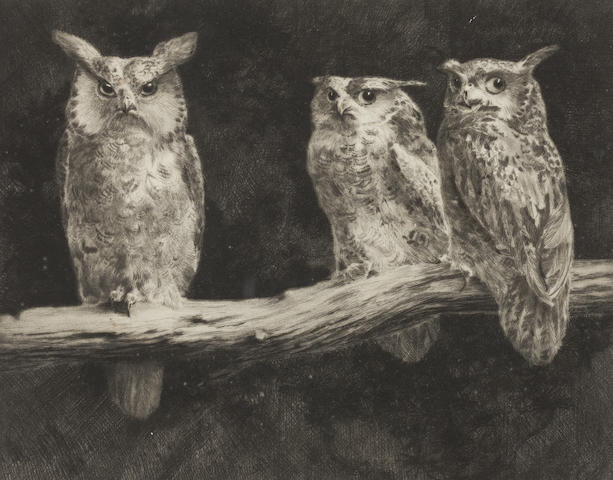 Leonard Robert Brightwell, Owls, collezione privata