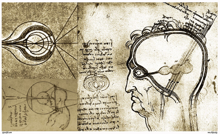 Various Sketches of the function and structure of the Eye from Leonardo da Vinci's notebooks.