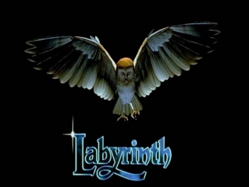 labyrinth-owl