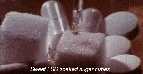 lsd sweet sugarcubes