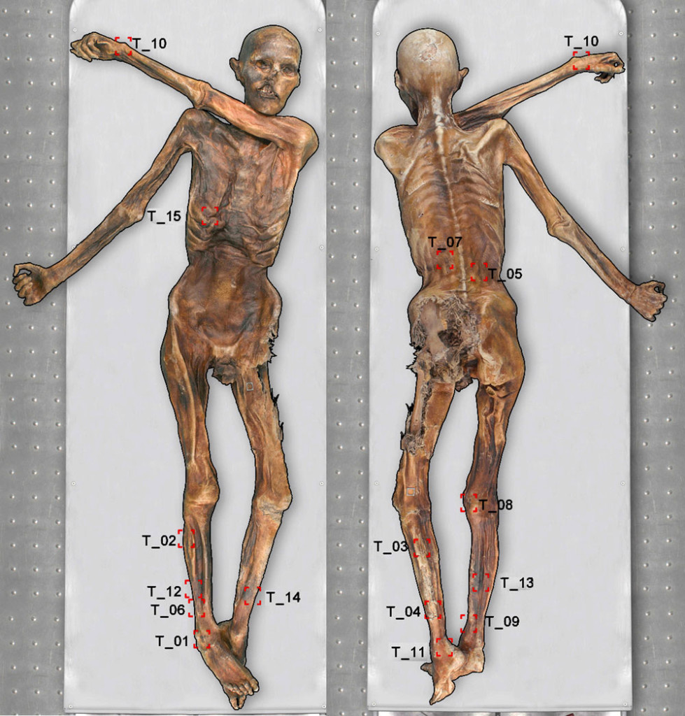 otzi tatuaggi