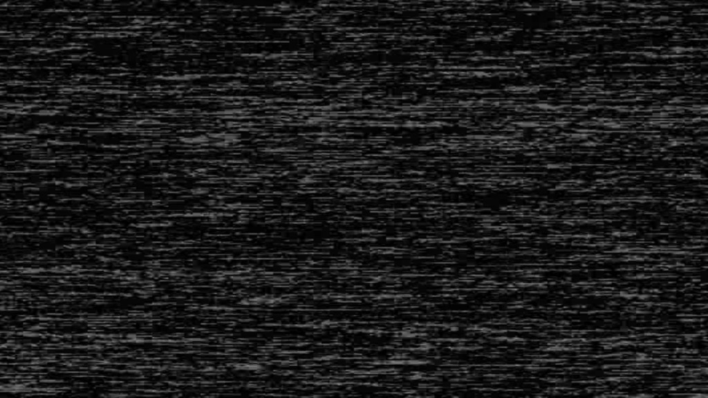 nothing-essential-happens-in-the-absence-of-noise-by-sil-bia-11