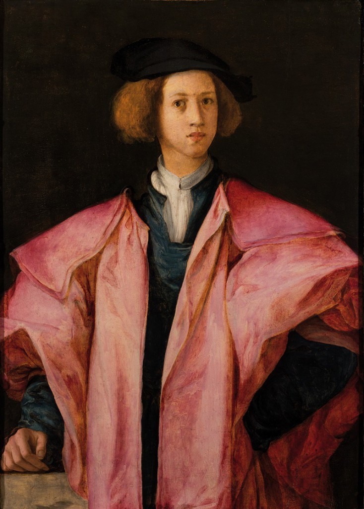 Pontormo-Ritratto-di-giovinetto-1525